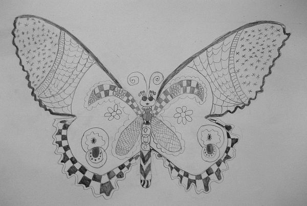 Art Studio PALETTE. Aleksandra Malisheva Picture.  Pencil Animals Butterfly 